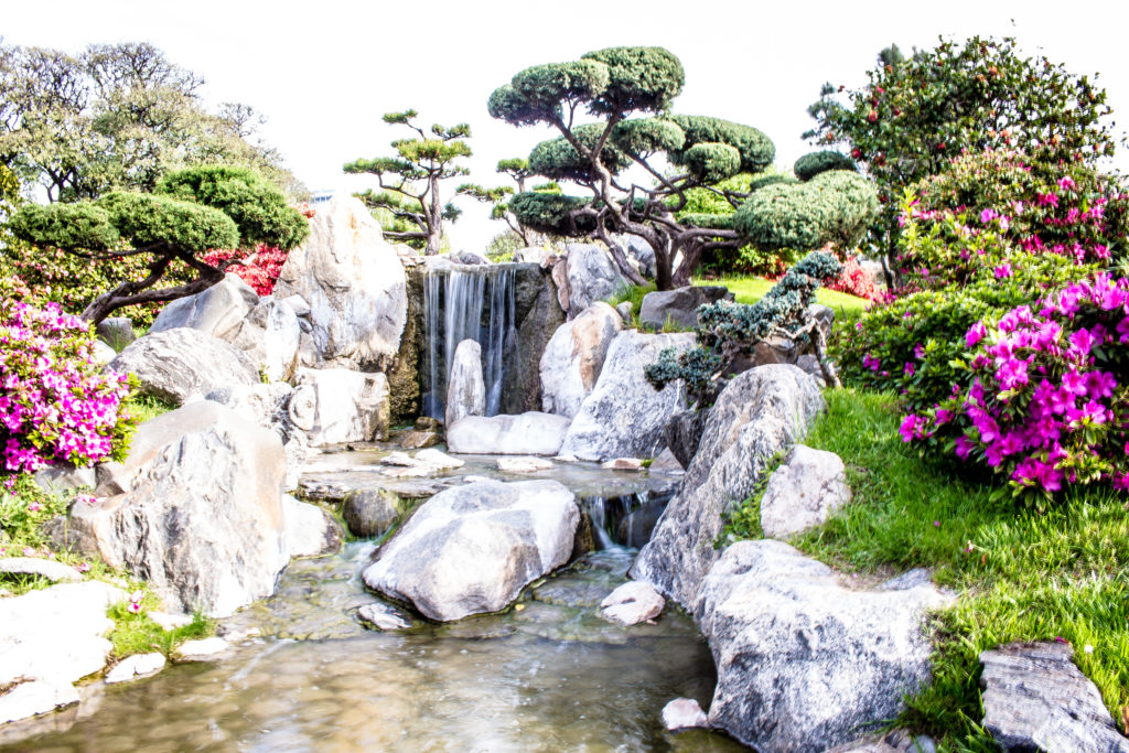 Jardín japones conexao diario