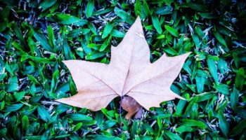 10 coisas que me fazem amar o outono