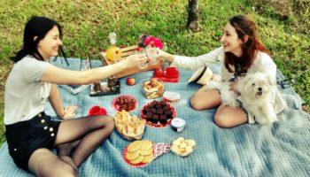 #diariodasemana – piquenique
