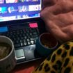 3 seriespara maratonar