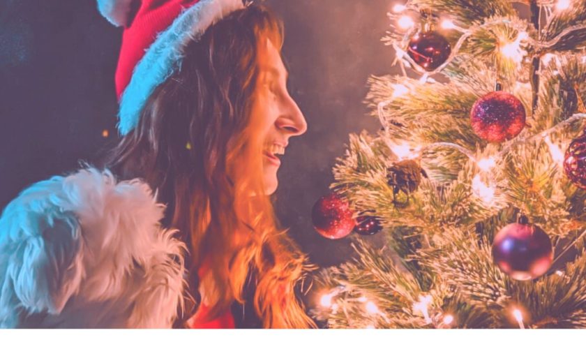 Nossa primeira arvore de natal